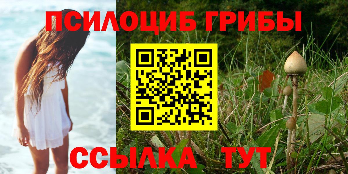 Петрозаводск  Галлюциногенные грибы мухоморы  Вход с VPN  Галлюциногенные грибы MAGIC MUSHROOMS 